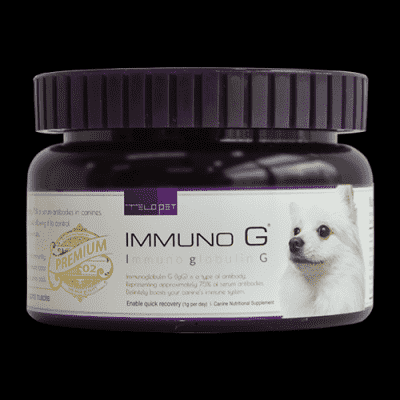 강아지면역증강제 강아지면역력 IgG(면역글로블린G)를 직접 급이하여 혈액 속 면역항체를 늘려주어 면역력 향상에 도움을 줄 수 있는 영양제입니다
