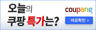 대전선화동실비김치 핫땡김치 매운 실비 김치 1kg 2kg 3kg