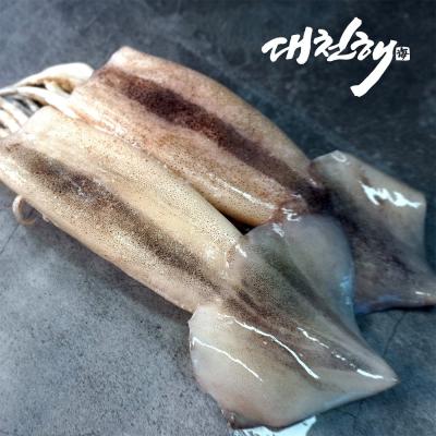 호래기 대천해 손질 통오징어 2미, 240g(2미), 1개